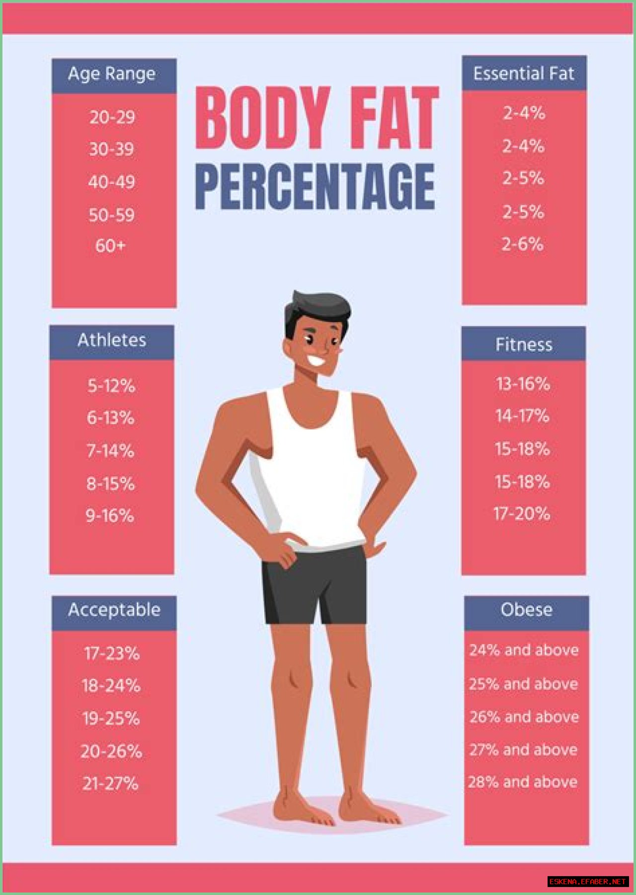 A Comprehensive Analysis Of Her Body Fat Percentage