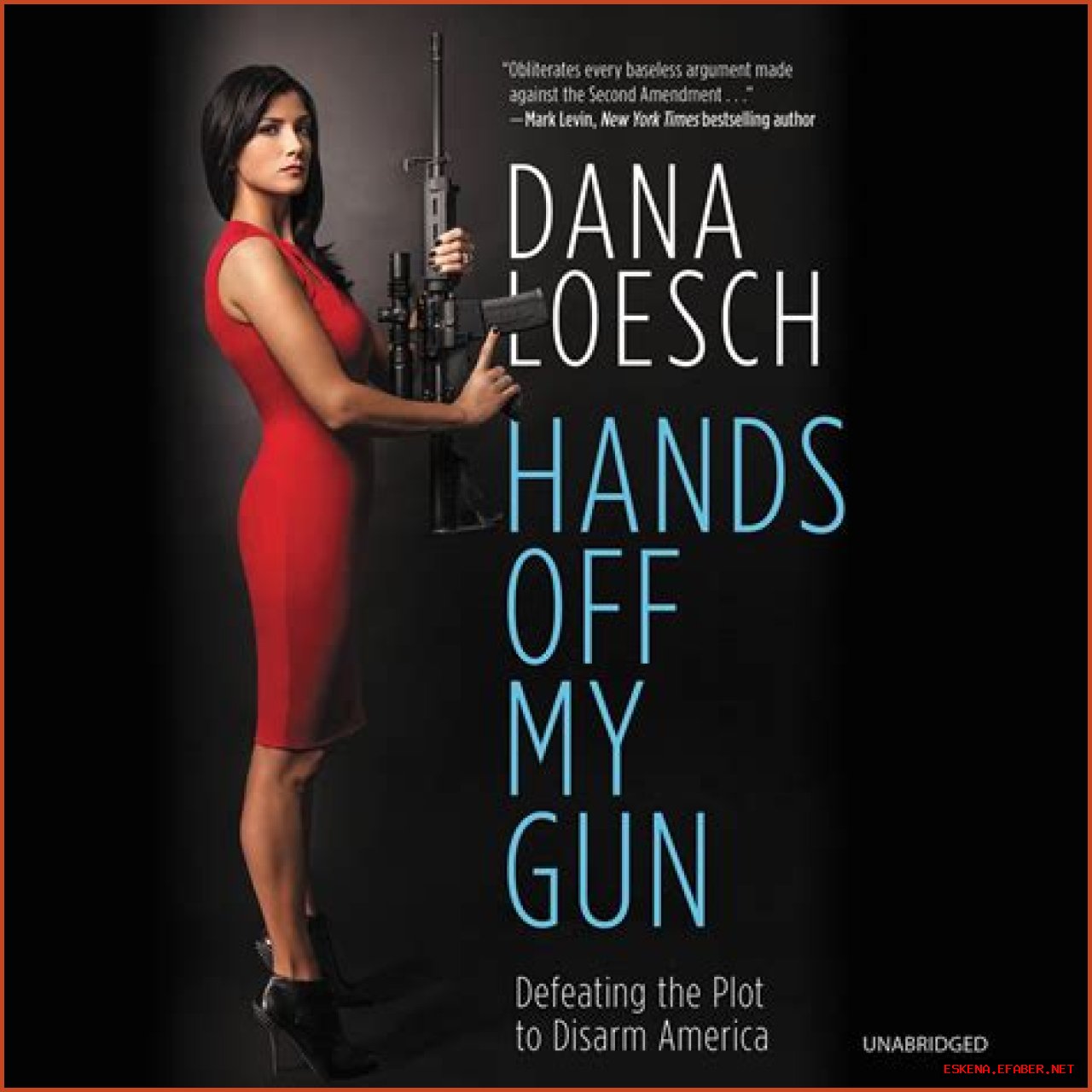 Dana Loesch On Politics And Gun Rights